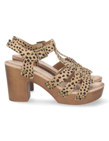 DB-2353-Leopardo