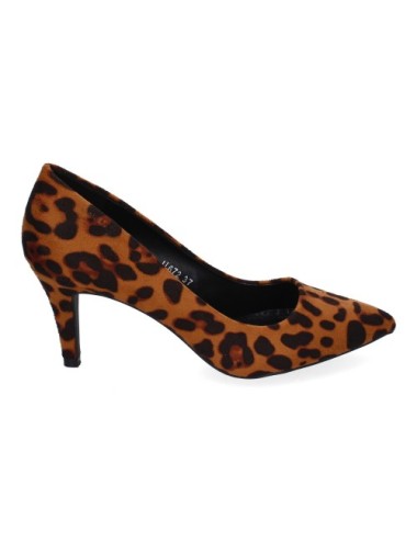 LL672-Leopardo